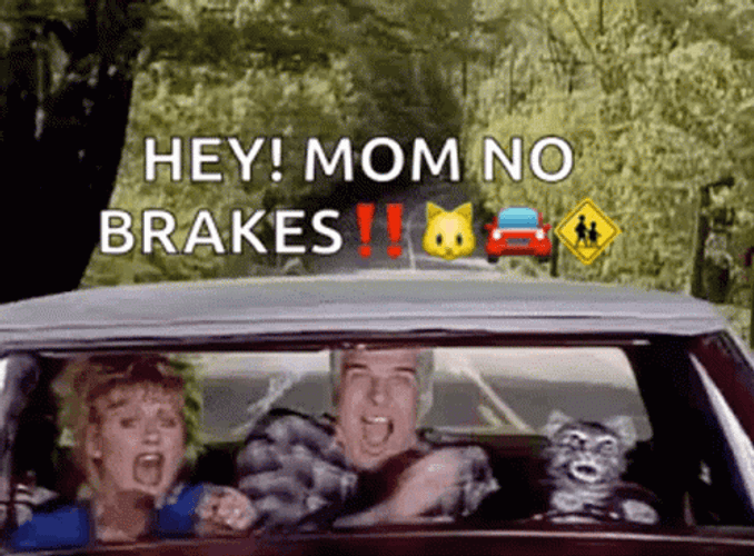 Toonces The Driving Cat GIF