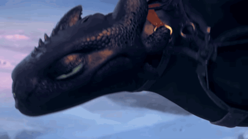 Toothless Dragon Flying in Sky