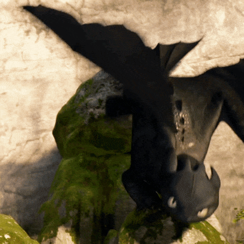 Toothless Flying Over Rock