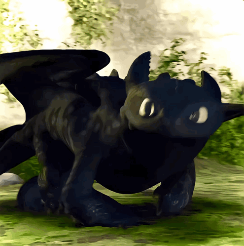 Toothless From How To Train Your Dragon Is Laying On The Grass GIF