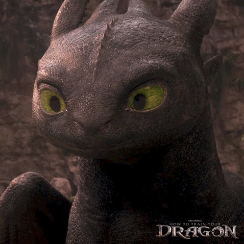 Toothless From How To Train Your Dragon Is Shown In A Close Up GIF