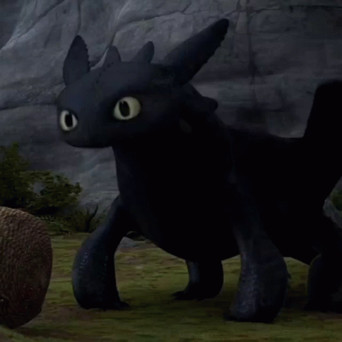 Toothless From How To Train Your Dragon Is Standing In A Field GIF