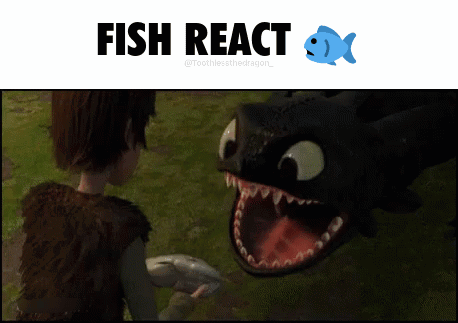 Toothless From How To Train Your Dragon Looking At Hiccup Holding A Fish GIF