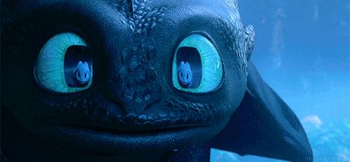 Toothless From How To Train Your Dragon Looks At The Camera GIF