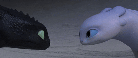 Toothless Light Fury Dance Face To Face Meme GIF