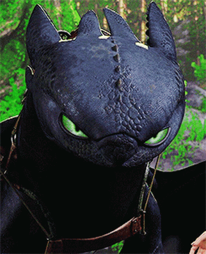 Toothless Looking at Camera with Green Eyes