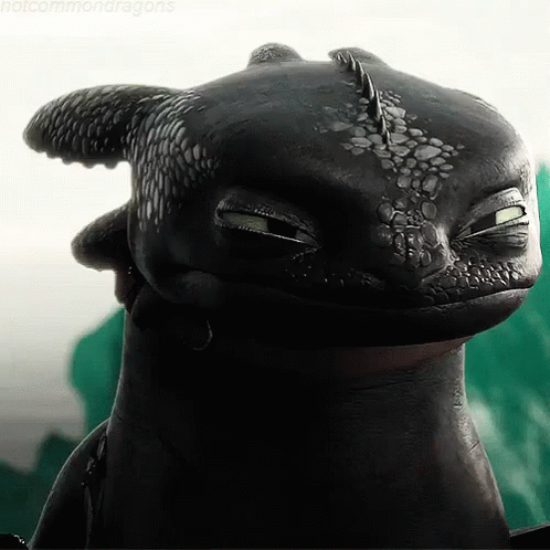 Toothless Meme Bored Eyes GIF