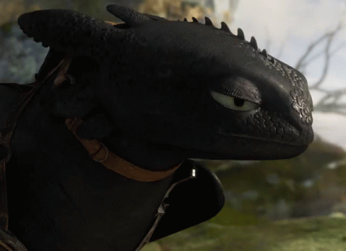 Toothless Meme Murmuring In Annoyance GIF