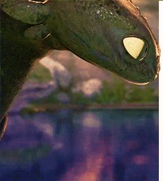 Toothless Opening His Eyes GIF