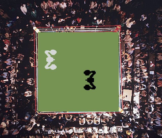 Top-down Boxing Animation GIF