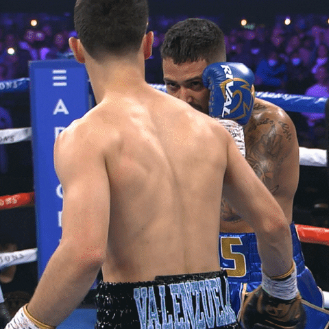 Top Rank Boxing Knockout GIF
