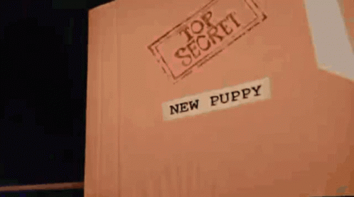 Top Secret New Puppy Gotcha File GIF