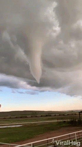 Tornado in Cloudy Sky with Viral Hog