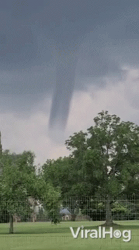 Tornado Moving Over Park With Trees