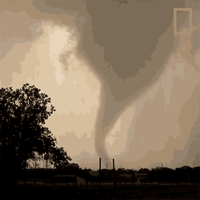 Tornado World Meteorological Day Gif GIF
