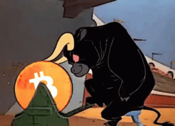 Toro The Bull Is Sharpening His Horns GIF