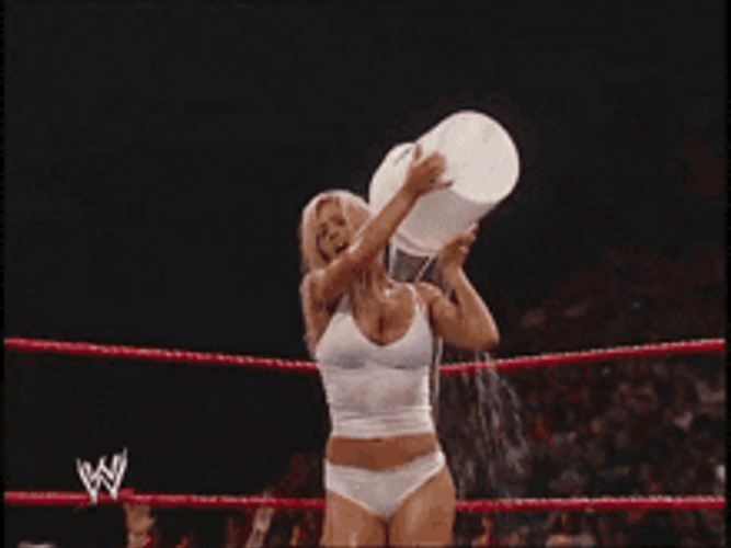Torrie Wilson Pour Water To Wet Tshirt GIF