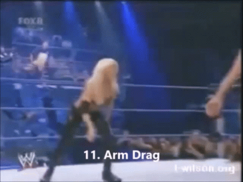 Torrierevolution Torriehpw GIF