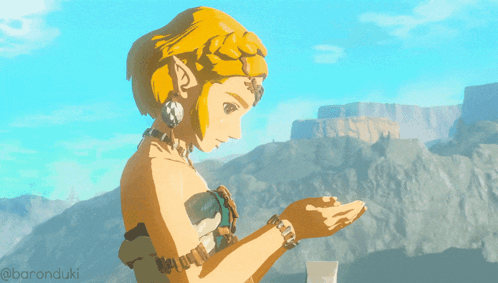Totk The Legend Of Princess Zelda GIF