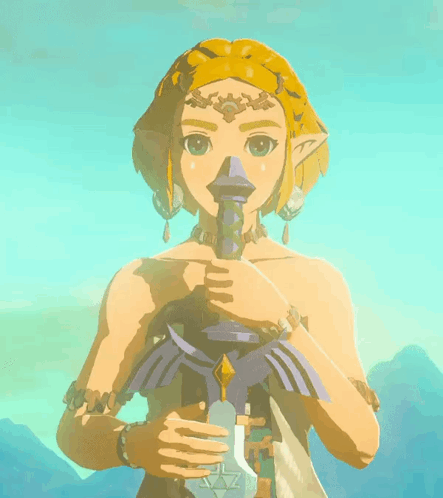 Totk Zelda Holding The Master Sword GIF