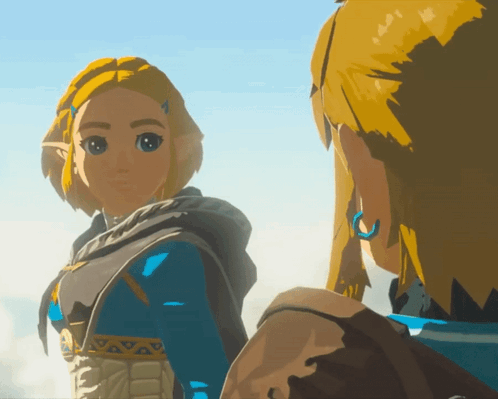 Totk Zelda Looking To Link GIF