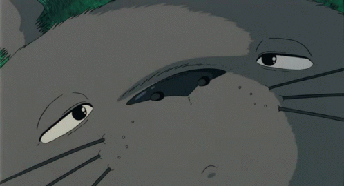 Totoro Yea I Had Burger Buuurp
