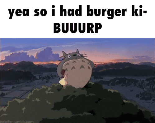 Totoro Yea So I Had Burger Ki Buuurp
