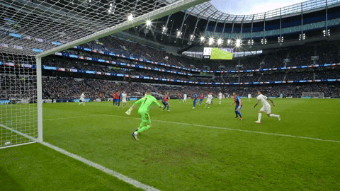 Tottenham Goal Cam Score GIF