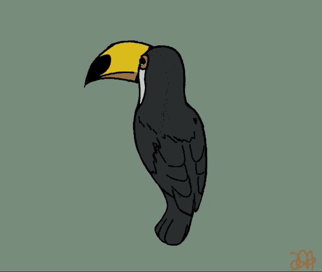 Toucan Spin Gif GIF