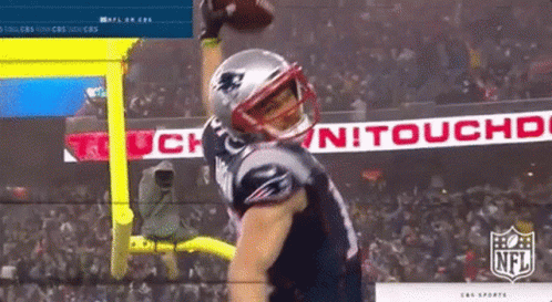 Touchdown Chris Hogan GIF