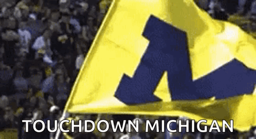 Touchdown Michigan Wolverines GIF