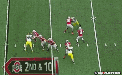 Touchdown Ohio Meme Football GIF
