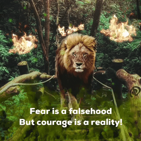 Tough And Courageous Lion GIF