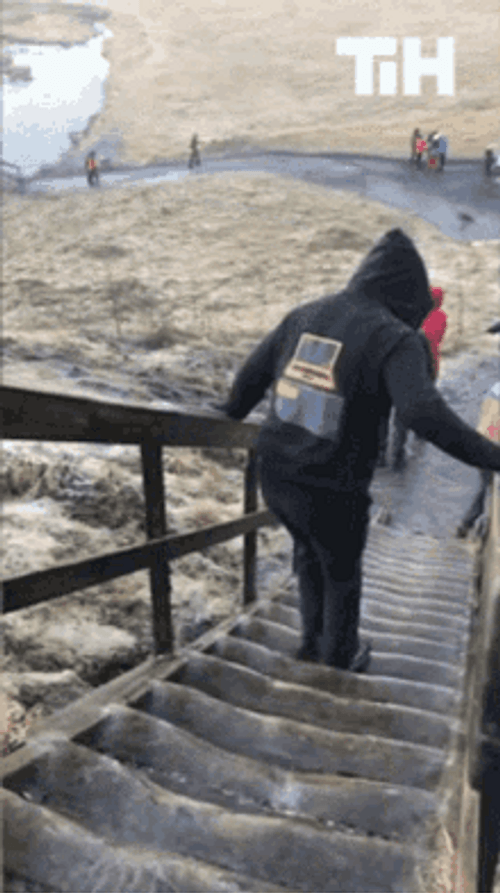 Tourist Trying To Be Careful Falling Down Stairs GIF