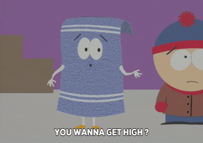 Towelie Asking Eric You Wanna Get High GIF