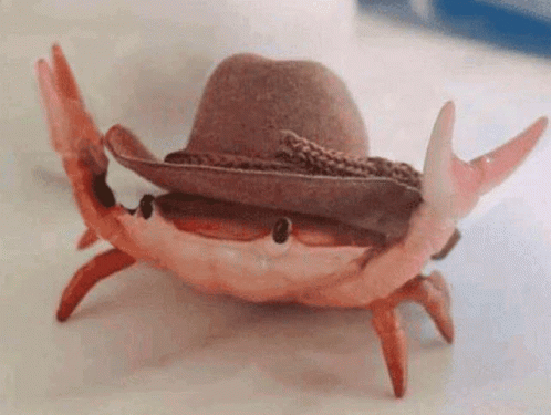 Toy Crab Wearing Cowboy Hat