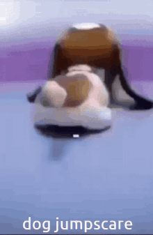 Toy Dog Facing Front Jump Scare GIF