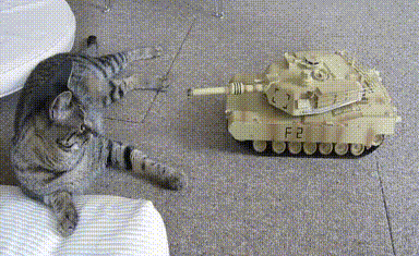 Toy Tank Versus Cat GIF