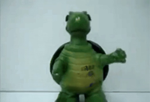 Toy Turtle Standing