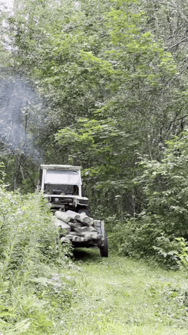 Tractor Going Inside The Forest GIF