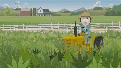 Tractor South Park Tegridy Farms GIF