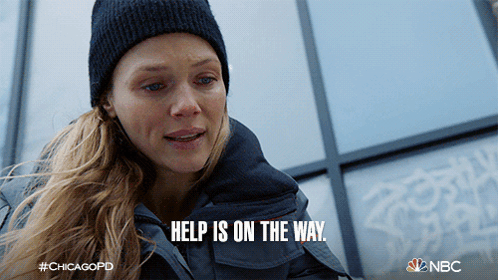 Tracy Spiridakos Help Is On The Way Dear GIF