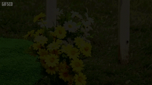 Trailer Park Boys Police Officer Jim Lahey GIF