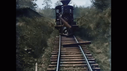 Train Approaching Wood On Tracks