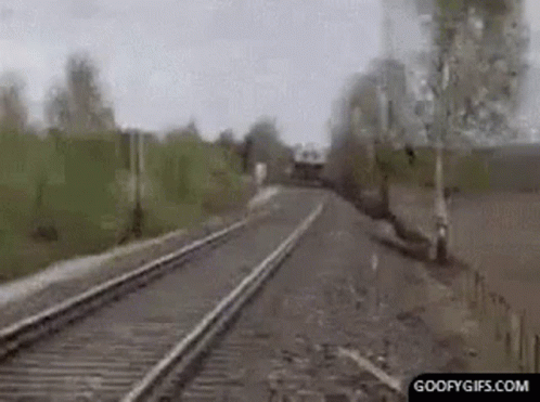 Train Going Down Tracks Next to Field