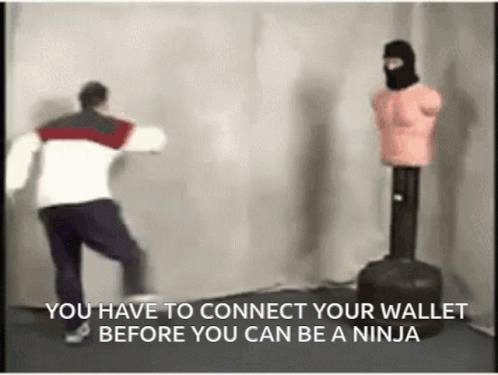 Training Ninja Protocol GIF
