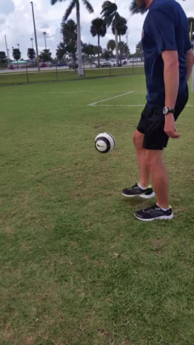 Training Soccer Ball GIF
