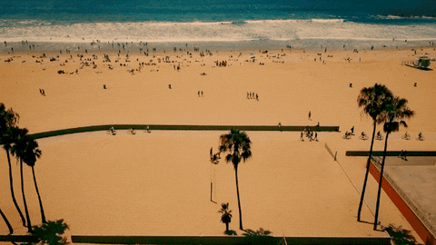 Training Wax On Wax Off In The Beach GIF