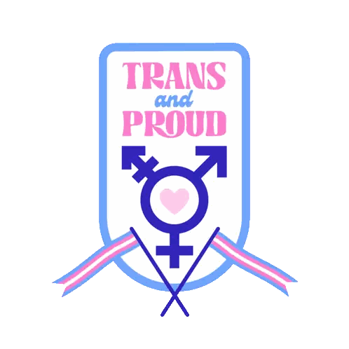 Trans Pride Trans Day Of Visibility Sticker