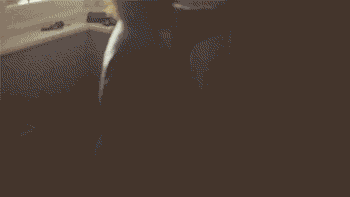 Transformers Kid Cosplay Cute GIF